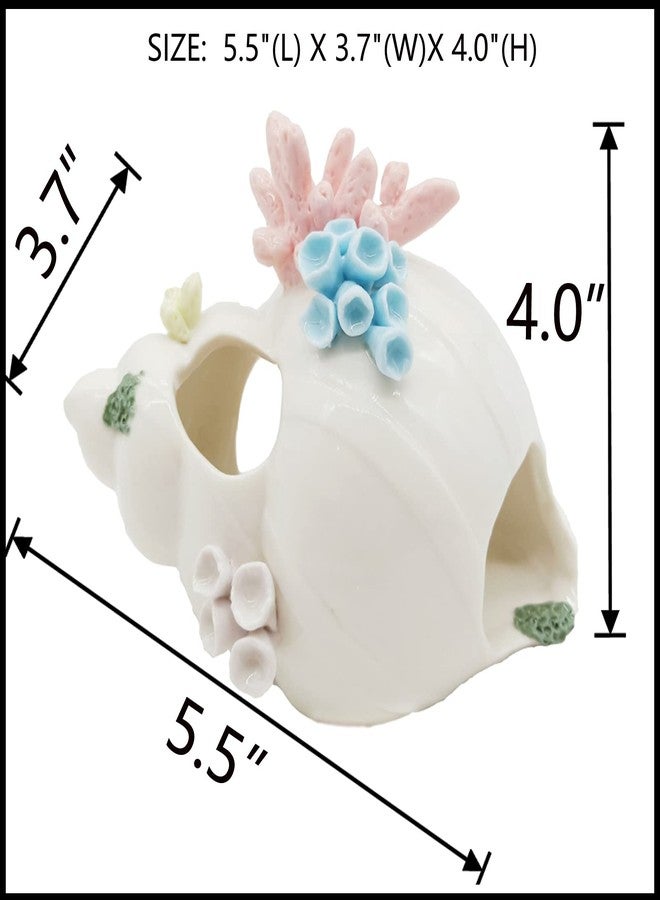 Starryfill Aquarium Decorations White Ceramic Conch Thematic Ornament with Three Holes for Betta Fish Passing or Hiding Safely,Betta Fish Tank for Small and Medium Fish - Image 2